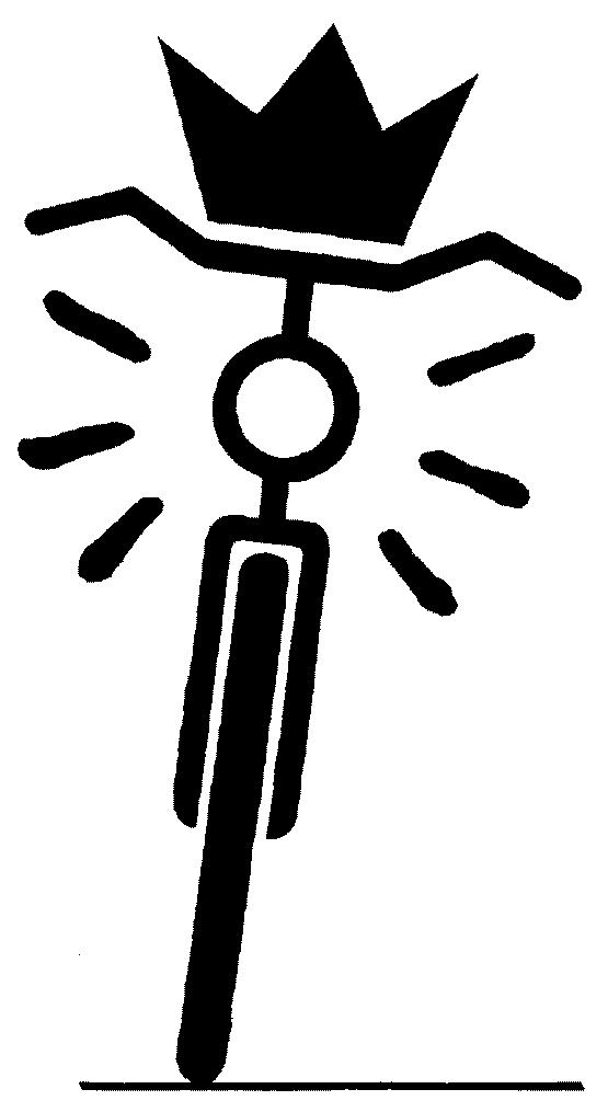 Logo Fietsverlichtingsactie